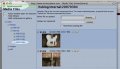 20070304:uploadsuccessi.jpg